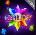 BDM Bet: Starburst
