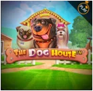 BDM Bet: The Dog House